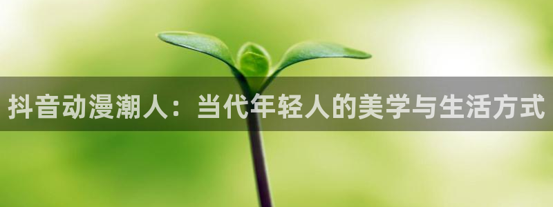比基尼勇士樱花动漫